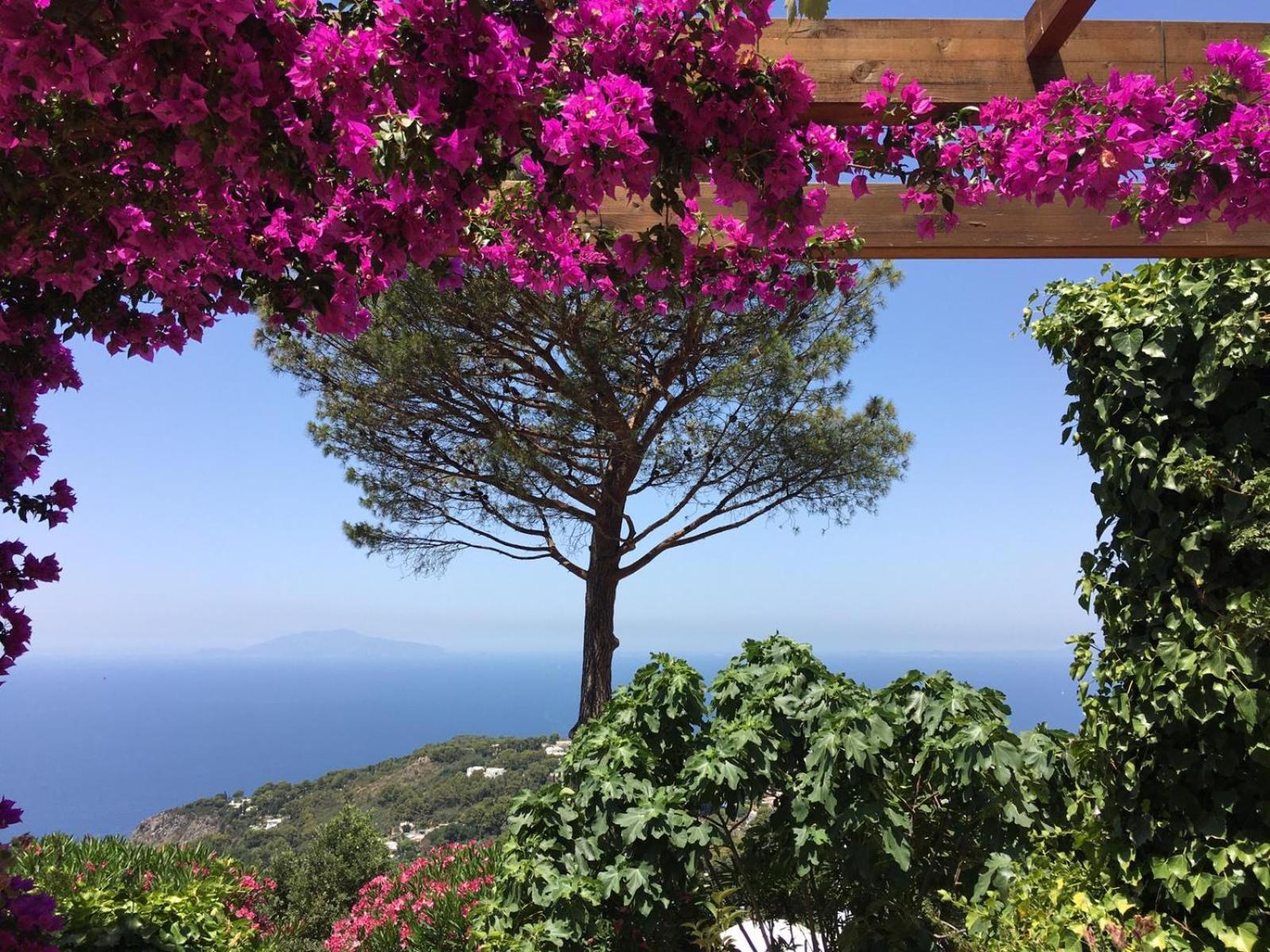 Casa Blu Hotell Anacapri  Eksteriør bilde