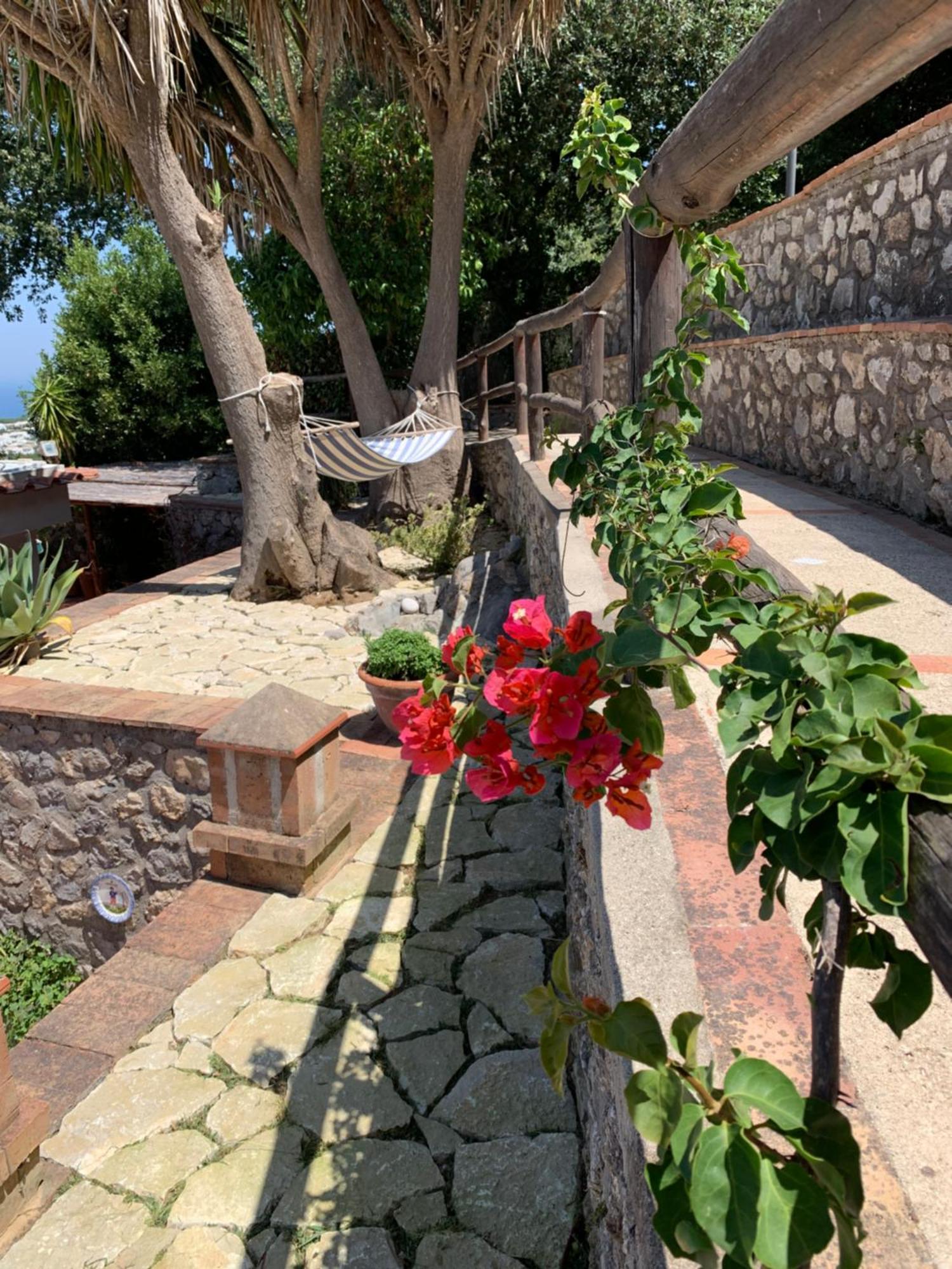 Casa Blu Hotell Anacapri  Eksteriør bilde